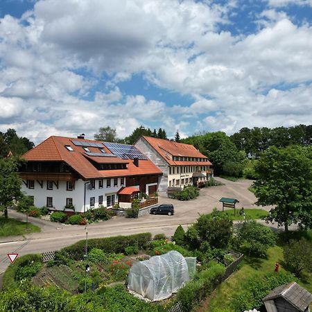 شقة Haus Schlageter Dachsberg im Schwarzwald المظهر الخارجي الصورة