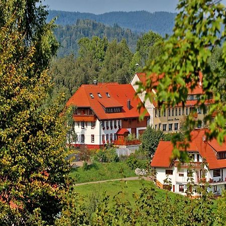 شقة Haus Schlageter Dachsberg im Schwarzwald المظهر الخارجي الصورة