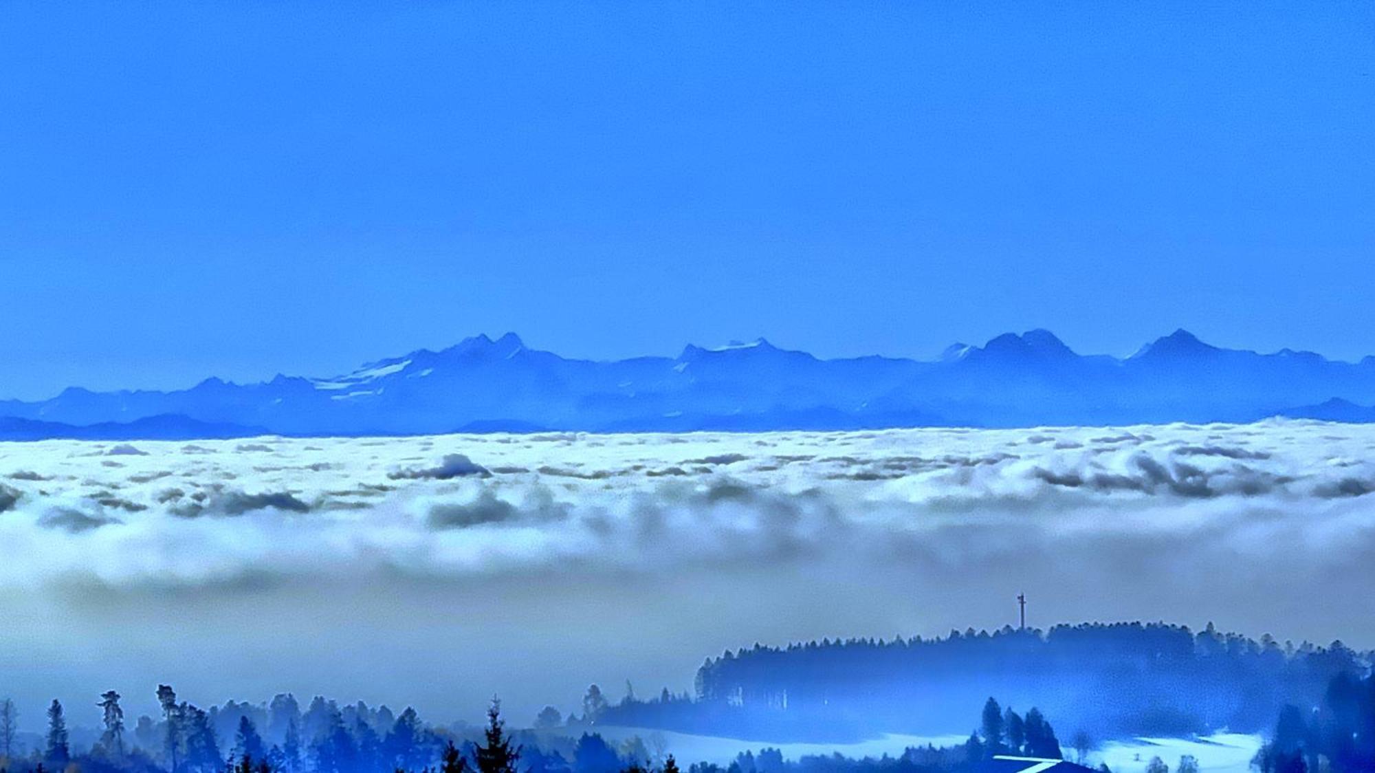 شقة Haus Schlageter Dachsberg im Schwarzwald المظهر الخارجي الصورة