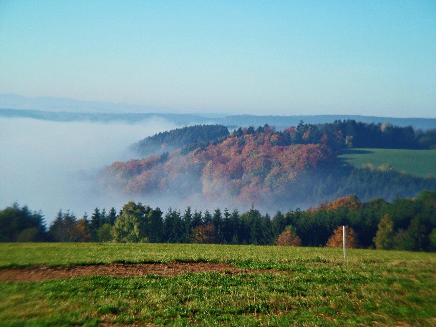 شقة Haus Schlageter Dachsberg im Schwarzwald المظهر الخارجي الصورة