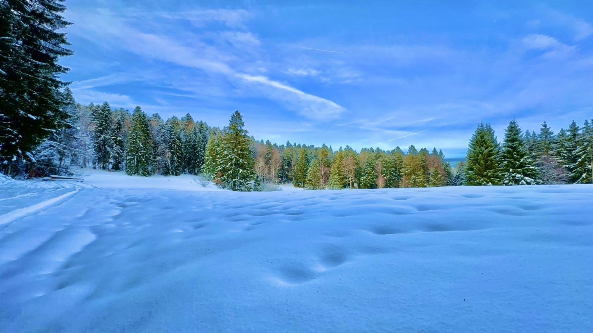 شقة Haus Schlageter Dachsberg im Schwarzwald المظهر الخارجي الصورة