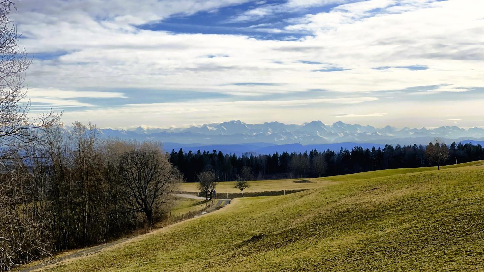 شقة Haus Schlageter Dachsberg im Schwarzwald المظهر الخارجي الصورة