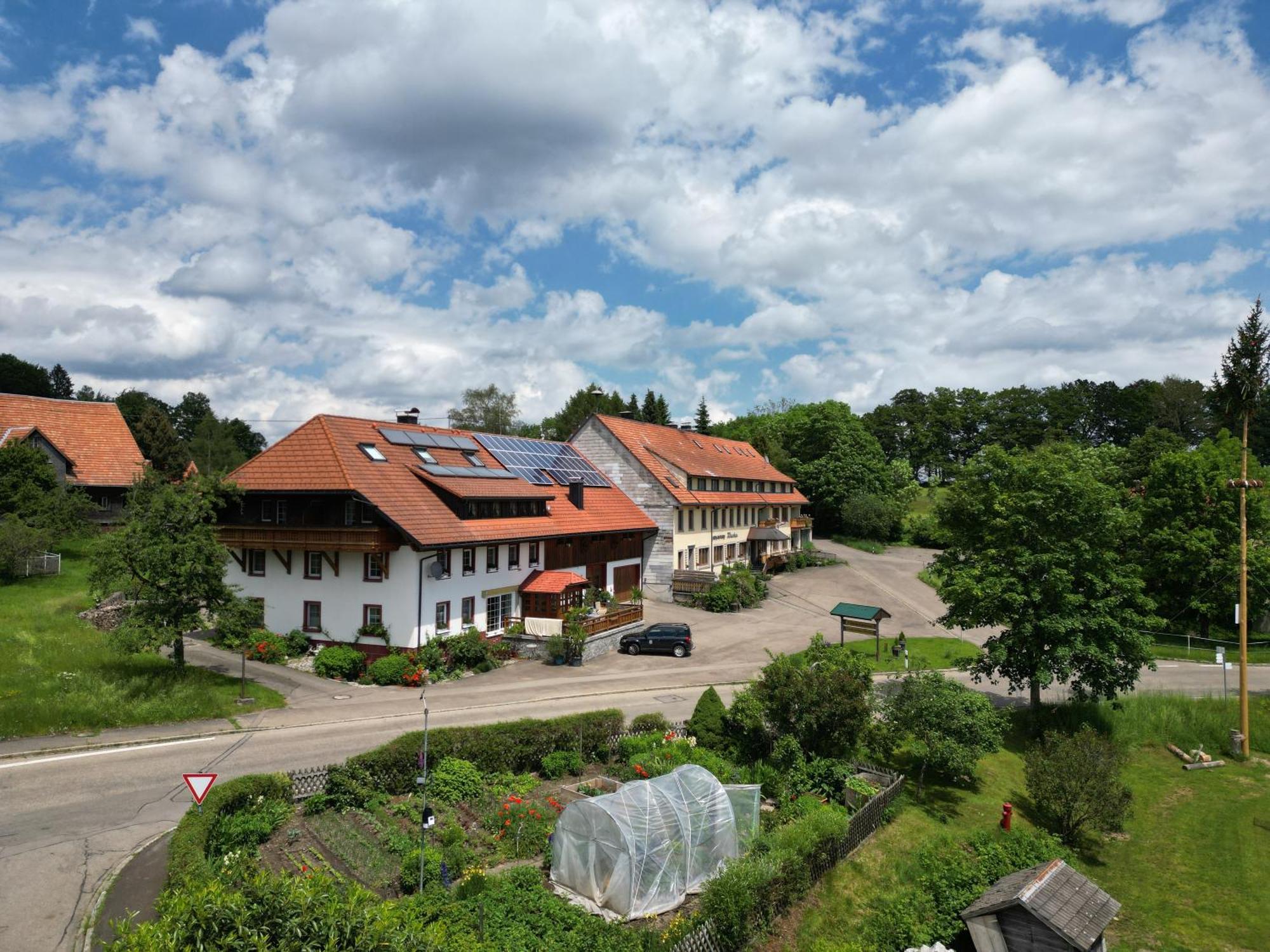 شقة Haus Schlageter Dachsberg im Schwarzwald المظهر الخارجي الصورة