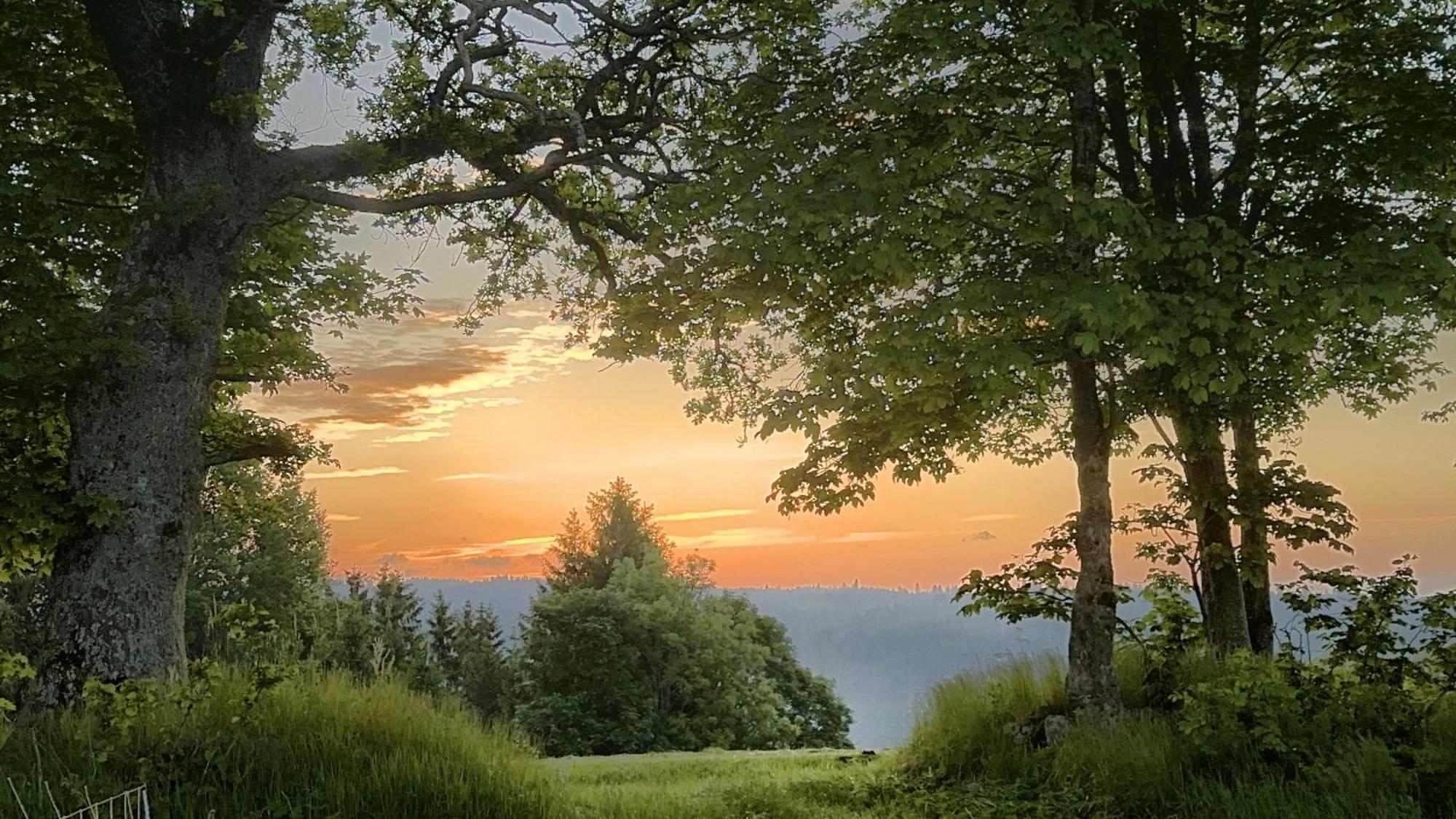 شقة Haus Schlageter Dachsberg im Schwarzwald المظهر الخارجي الصورة