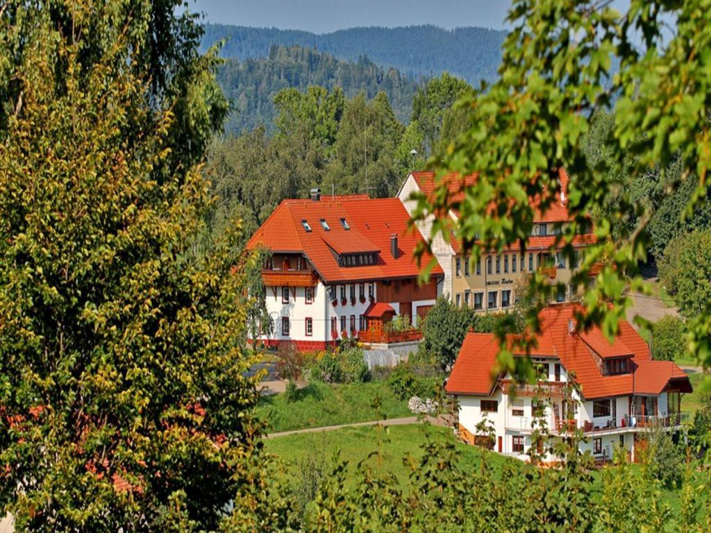 شقة Haus Schlageter Dachsberg im Schwarzwald المظهر الخارجي الصورة